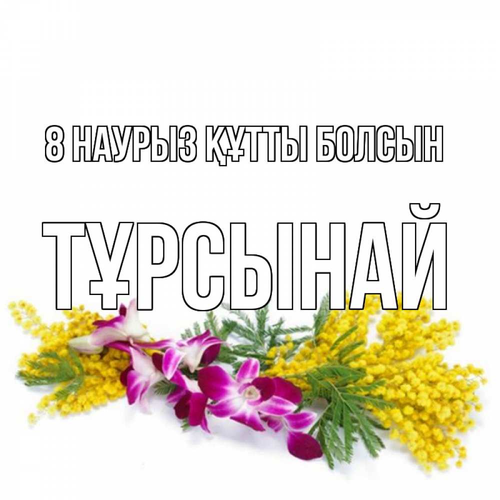Күн сайын ашық хат с именем, ТҰРСЫНАЙ 8 наурыз құтты болсын открытка на международный женский день с цветами  1 Онлайн тегін жүктеп алу тілектері бар керемет карта 