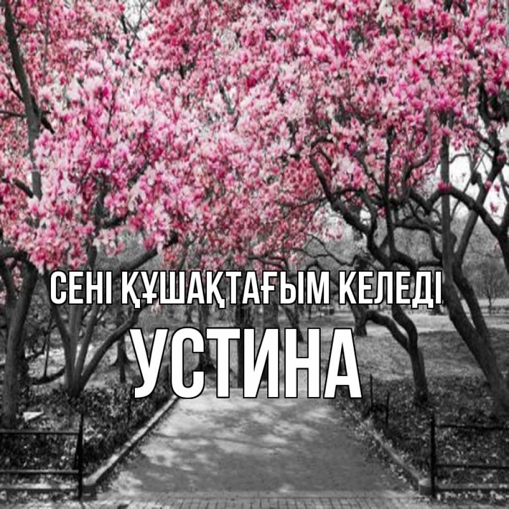 Күн сайын ашық хат с именем, Устина сені құшақтағым келеді обработанное фото Онлайн тегін жүктеп алу тілектері бар керемет карта 