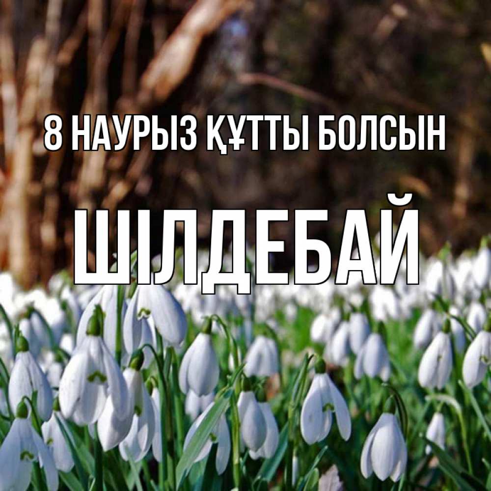 Күн сайын ашық хат с именем, ШІЛДЕБАЙ 8 наурыз құтты болсын с подснежниками 1 Онлайн тегін жүктеп алу тілектері бар керемет карта 