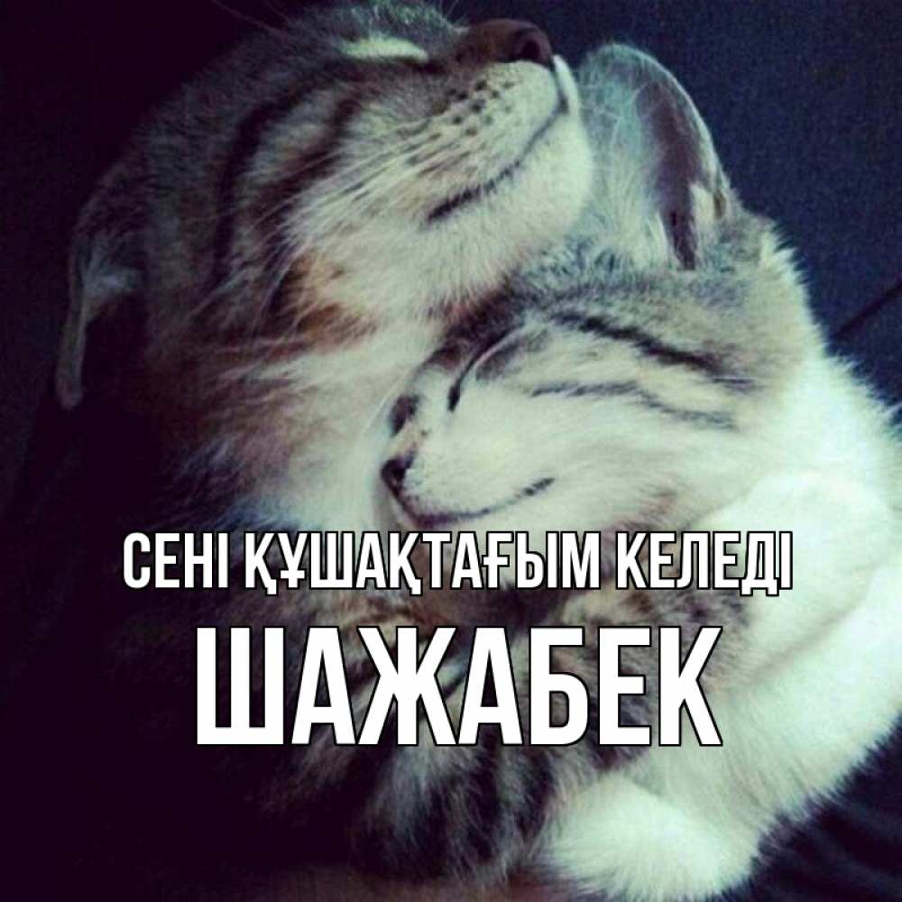 Күн сайын ашық хат с именем, ШАЖАБЕК сені құшақтағым келеді полосатики Онлайн тегін жүктеп алу тілектері бар керемет карта 
