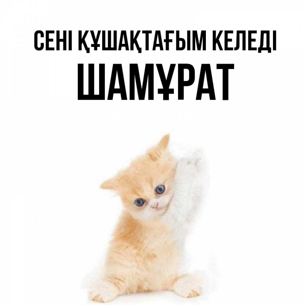 Күн сайын ашық хат с именем, ШАМҰРАТ сені құшақтағым келеді я хочу очень скорее обнимаешек Онлайн тегін жүктеп алу тілектері бар керемет карта 