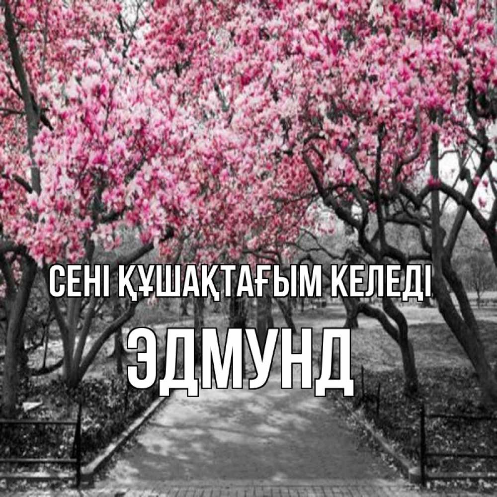 Күн сайын ашық хат с именем, Эдмунд сені құшақтағым келеді обработанное фото Онлайн тегін жүктеп алу тілектері бар керемет карта 