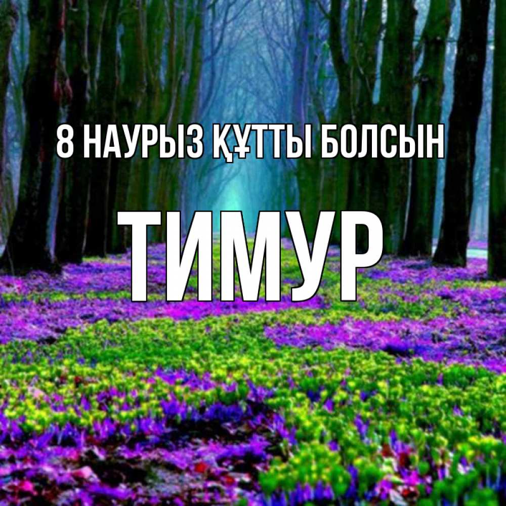 Күн сайын ашық хат с именем, Тимур 8 наурыз құтты болсын фиолетовые цветы в лесу 1 Онлайн тегін жүктеп алу тілектері бар керемет карта 