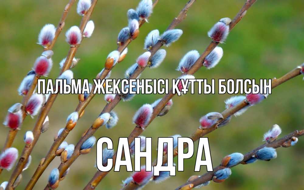 Картинка Пальма жексенбісі құтты болсын, Сандра