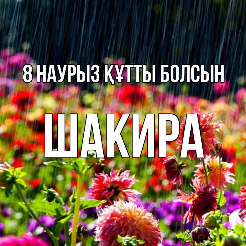 Күн сайын ашық хат с именем, Шакира 8 наурыз құтты болсын цветы под дождиком к международному женскому дню Онлайн тегін жүктеп алу тілектері бар керемет карта 