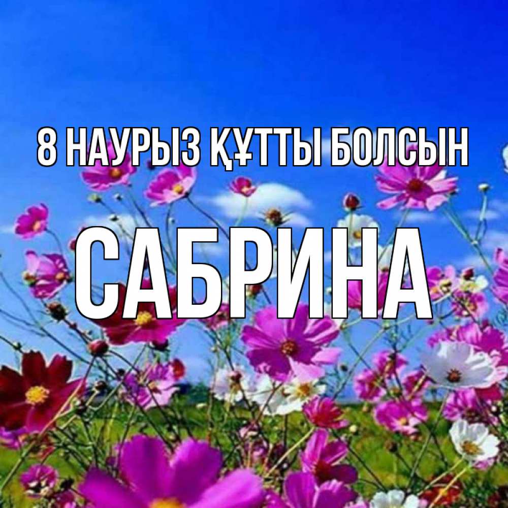 Күн сайын ашық хат с именем, Сабрина 8 наурыз құтты болсын цветы Онлайн тегін жүктеп алу тілектері бар керемет карта 