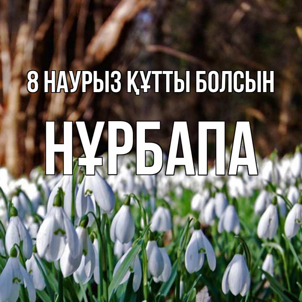 Күн сайын ашық хат с именем, НҰРБАПА 8 наурыз құтты болсын с подснежниками 1 Онлайн тегін жүктеп алу тілектері бар керемет карта 