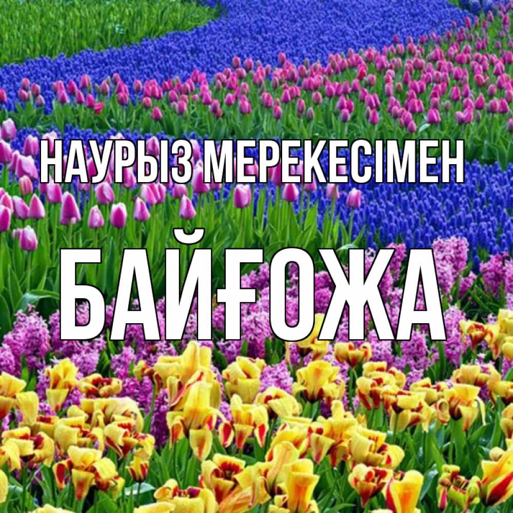 Күн сайын ашық хат с именем, Байғожа Наурыз мерекесімен цветы Онлайн тегін жүктеп алу тілектері бар керемет карта 