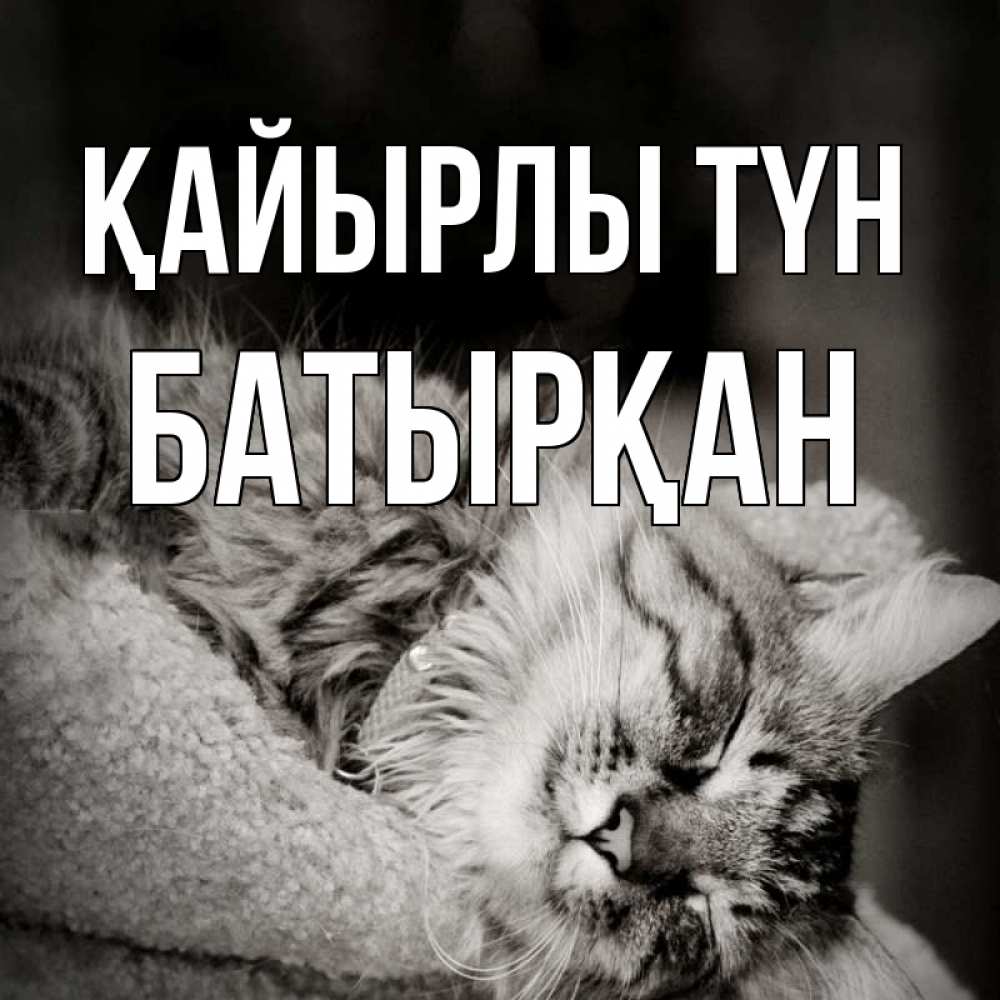 Күн сайын ашық хат с именем, Батырқан Қайырлы түн котярик пушистый Онлайн тегін жүктеп алу тілектері бар керемет карта 