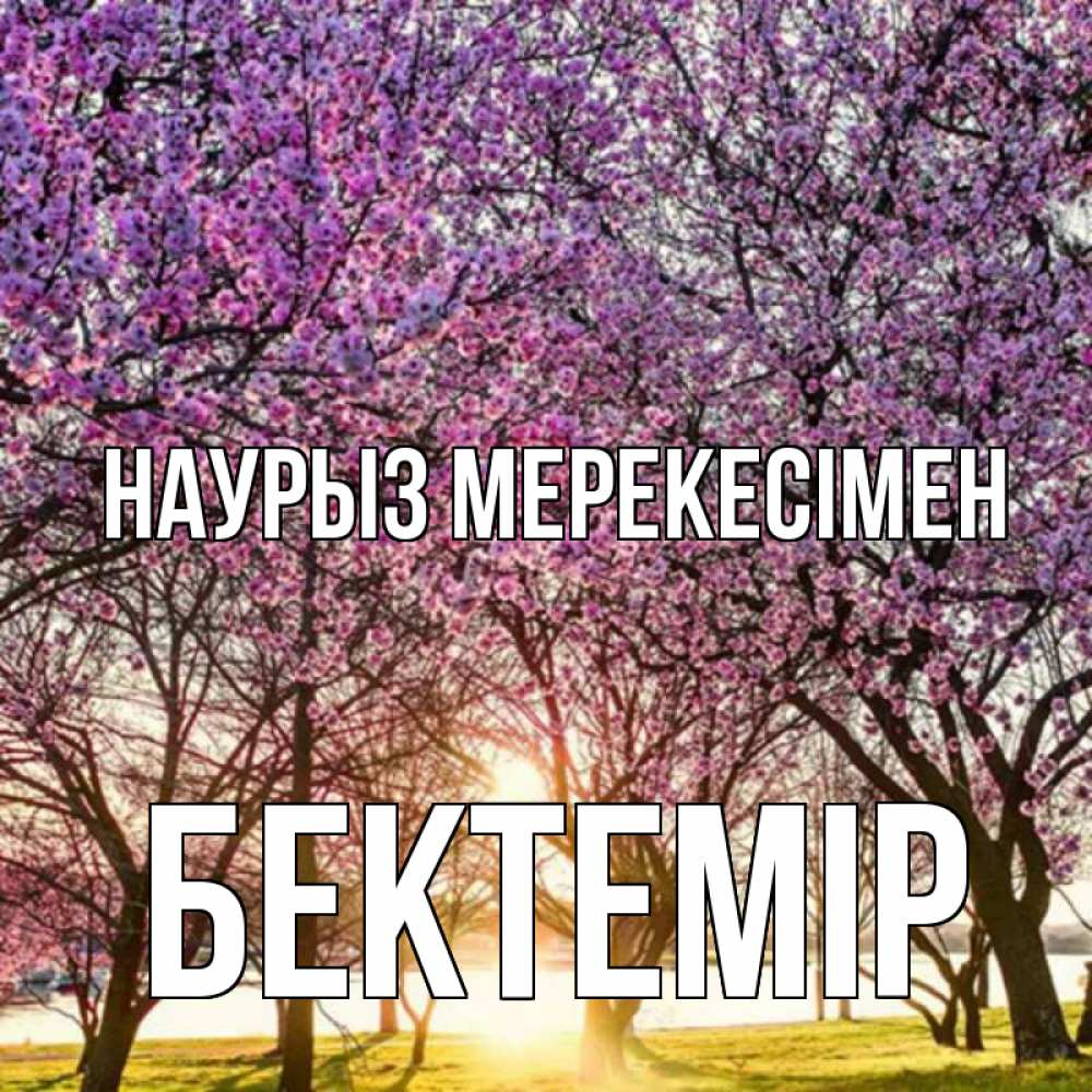 Күн сайын ашық хат с именем, Бектемір Наурыз мерекесімен праздник весны наурыз Онлайн тегін жүктеп алу тілектері бар керемет карта 