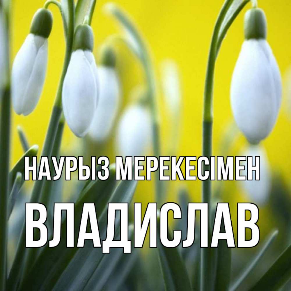 Күн сайын ашық хат с именем, Владислав Наурыз мерекесімен весенние цветы Онлайн тегін жүктеп алу тілектері бар керемет карта 