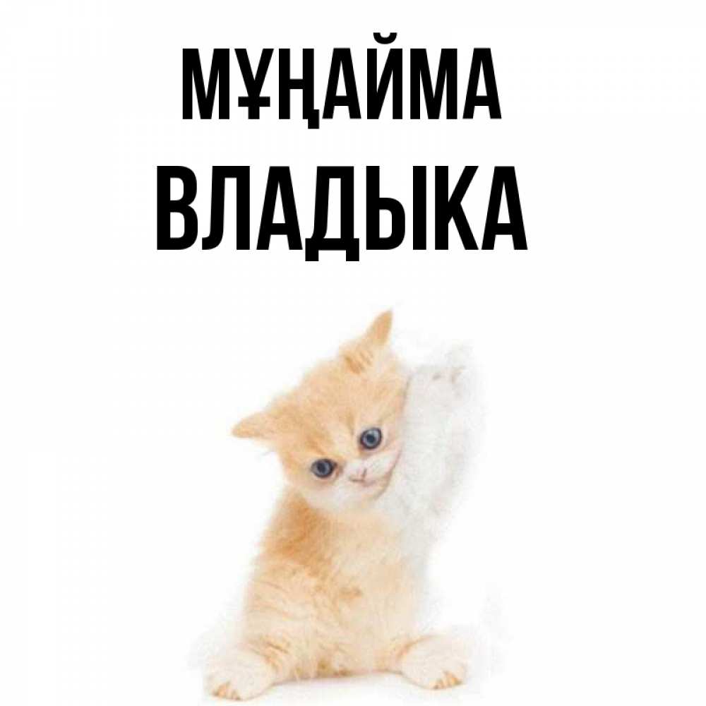 Күн сайын ашық хат с именем, Владыка Мұңайма просящий кот Онлайн тегін жүктеп алу тілектері бар керемет карта 