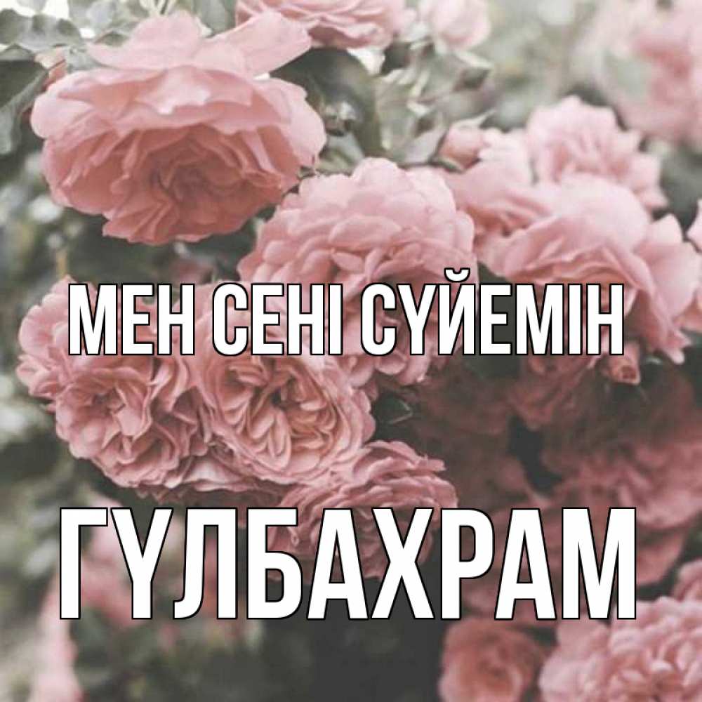 Күн сайын ашық хат с именем, ГҮЛБАХРАМ Мен сені сүйемін розы 3 Онлайн тегін жүктеп алу тілектері бар керемет карта 