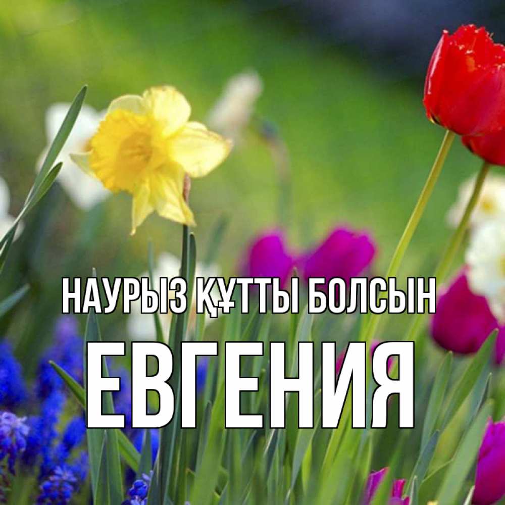Күн сайын ашық хат с именем, Евгения Наурыз құтты болсын наурыз  3 открытки Онлайн тегін жүктеп алу тілектері бар керемет карта 