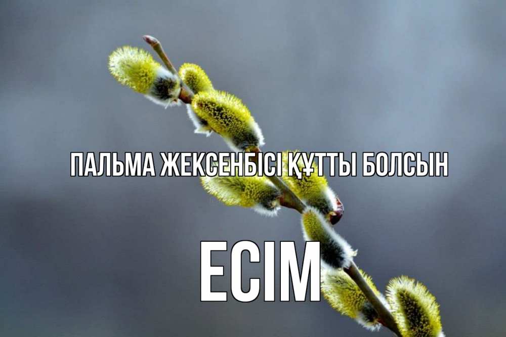 Күн сайын ашық хат с именем, Есім Пальма жексенбісі құтты болсын верба Онлайн тегін жүктеп алу тілектері бар керемет карта 