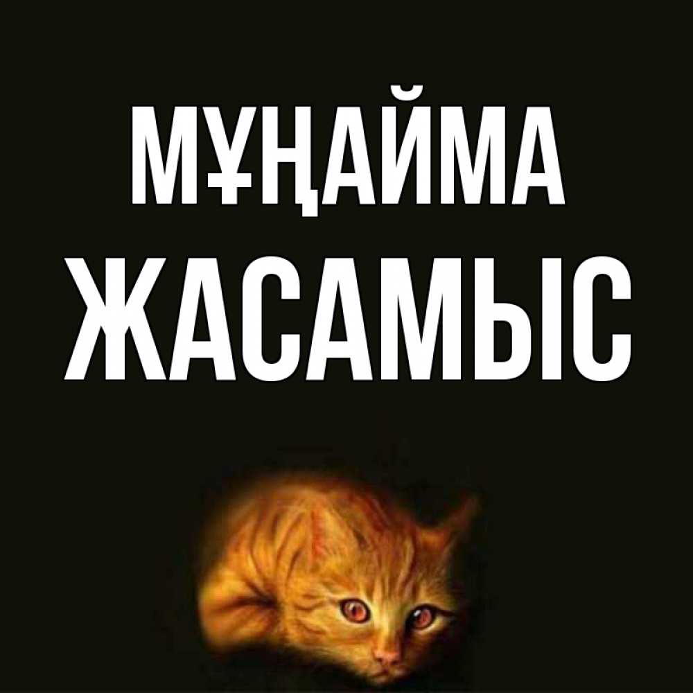 Күн сайын ашық хат с именем, Жасамыс Мұңайма лежащий кот в темноте Онлайн тегін жүктеп алу тілектері бар керемет карта 