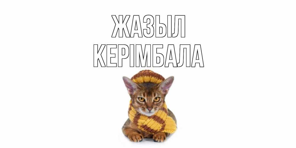 Күн сайын ашық хат с именем, КЕРІМБАЛА Жазыл родные не болейте Онлайн тегін жүктеп алу тілектері бар керемет карта 