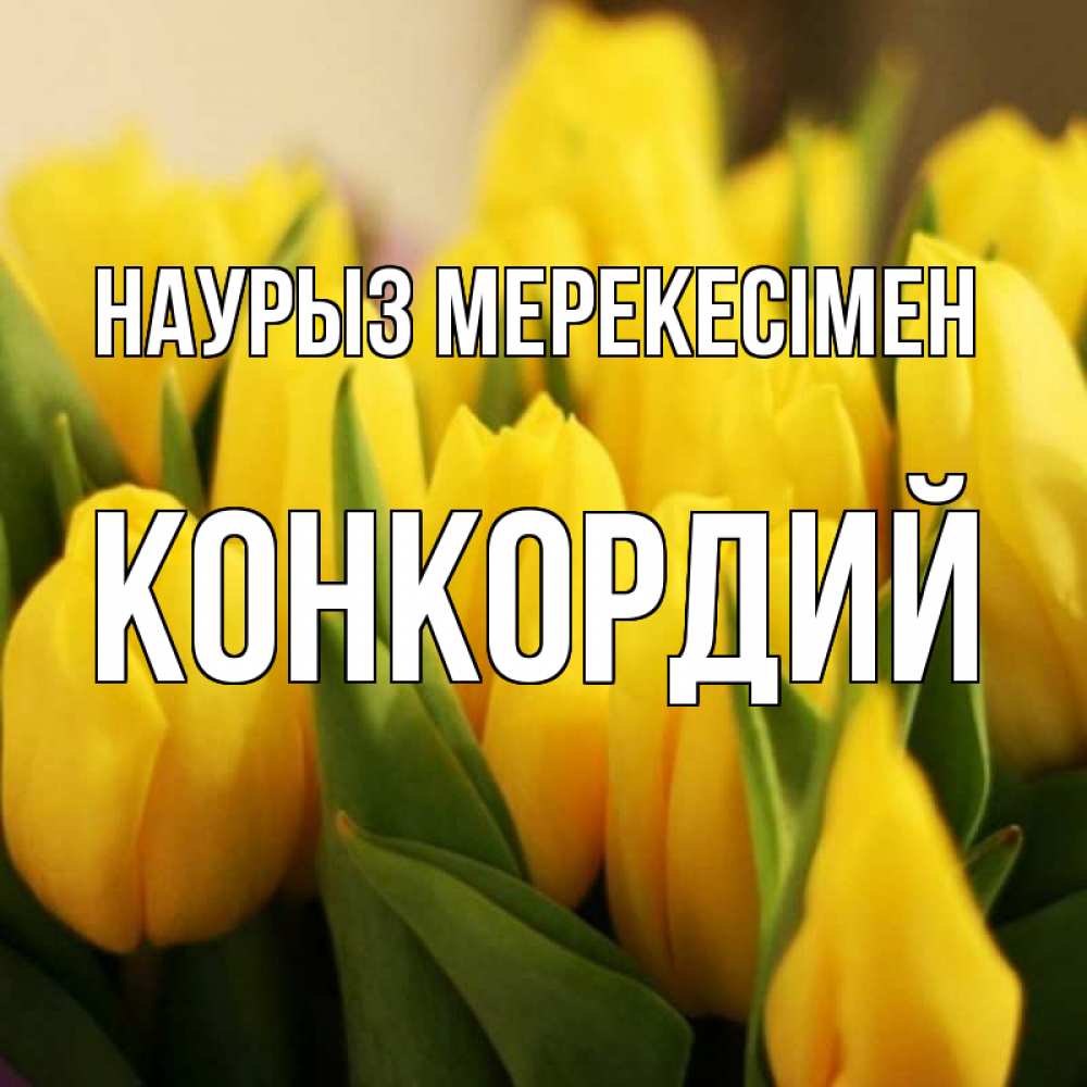 Күн сайын ашық хат с именем, Конкордий Наурыз мерекесімен цветы Онлайн тегін жүктеп алу тілектері бар керемет карта 