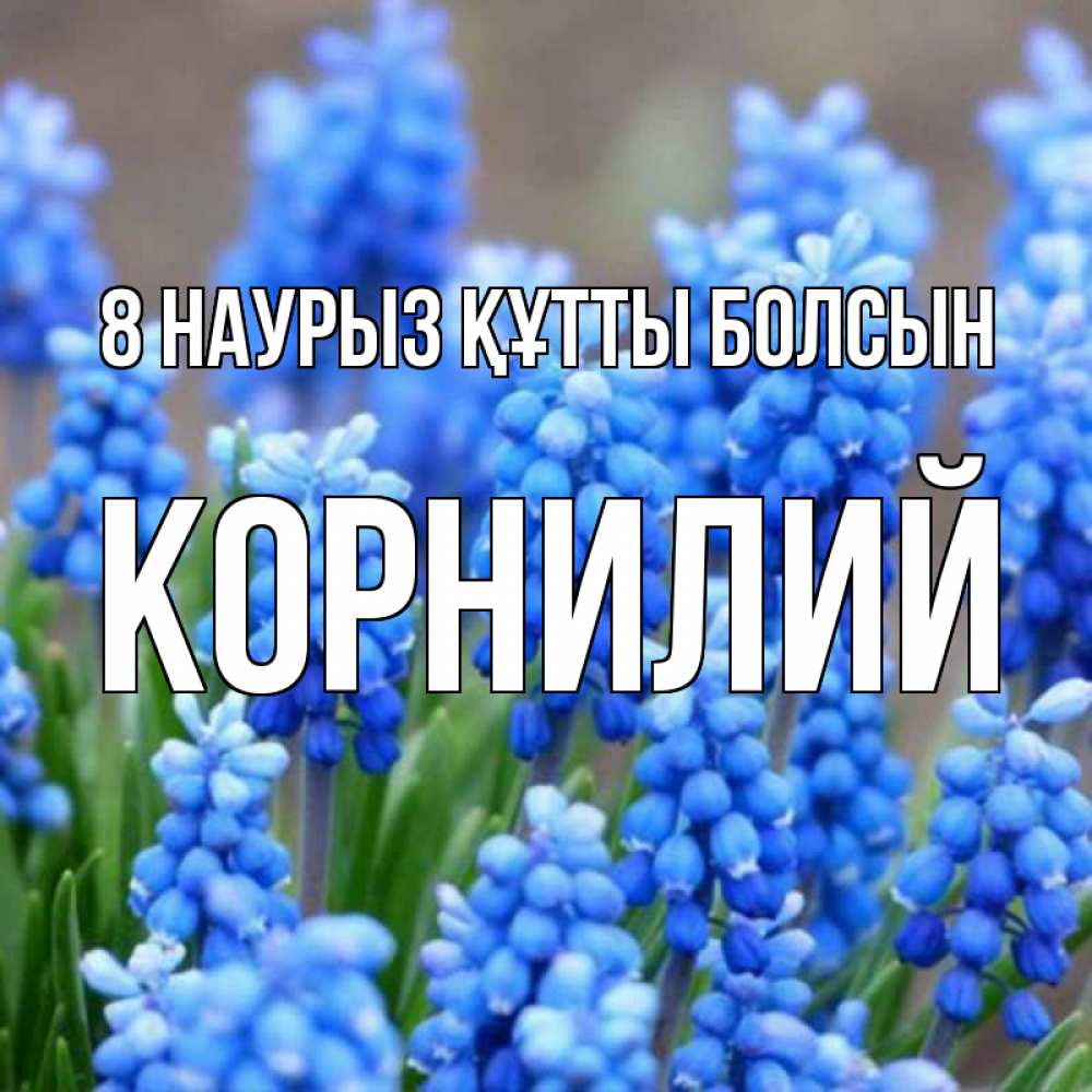 Күн сайын ашық хат с именем, Корнилий 8 наурыз құтты болсын Поздравительная открытка для женщин с цветами на праздничную дату Онлайн тегін жүктеп алу тілектері бар керемет карта 