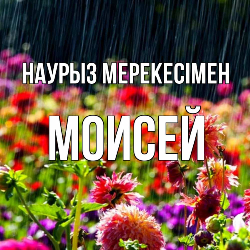 Күн сайын ашық хат с именем, Моисей Наурыз мерекесімен цветы под дождиком к международному женскому дню Онлайн тегін жүктеп алу тілектері бар керемет карта 