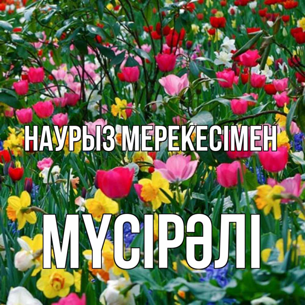 Күн сайын ашық хат с именем, МҮСІРӘЛІ Наурыз мерекесімен с наурызом праздником весны поздравления для женщины Онлайн тегін жүктеп алу тілектері бар керемет карта 