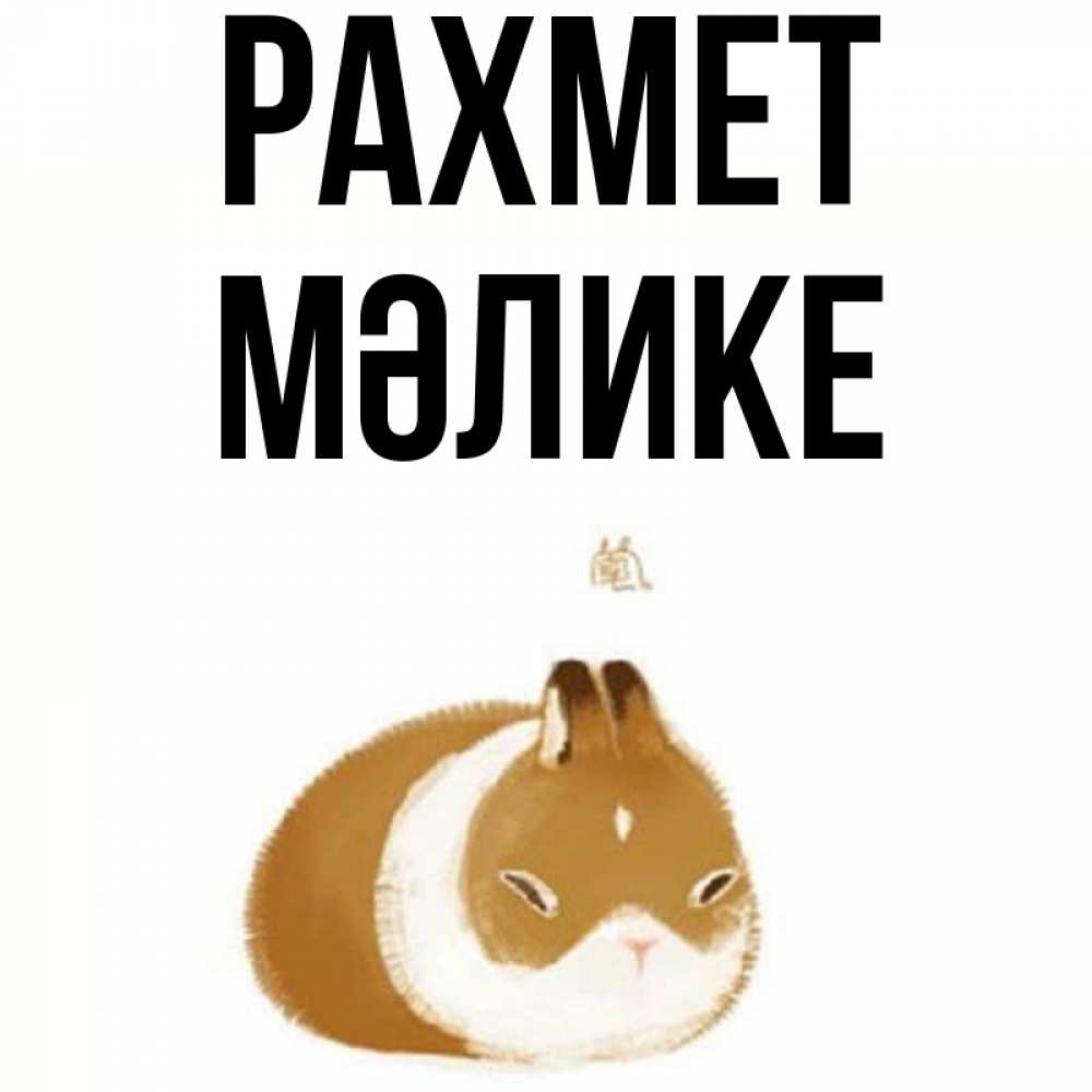 Күн сайын ашық хат с именем, МӘЛИКЕ рахмет коричнево белый домашний питомец Онлайн тегін жүктеп алу тілектері бар керемет карта 