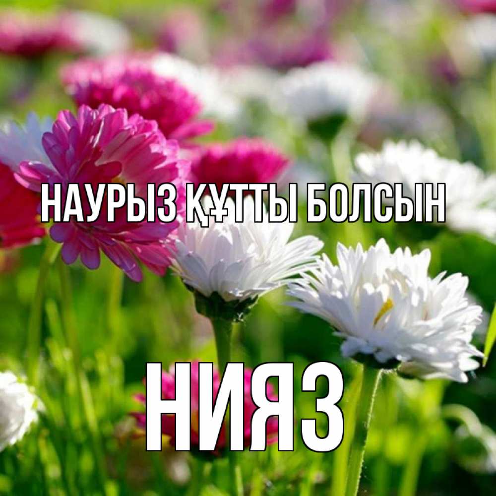Күн сайын ашық хат с именем, НИЯЗ Наурыз құтты болсын наурыз Онлайн тегін жүктеп алу тілектері бар керемет карта 