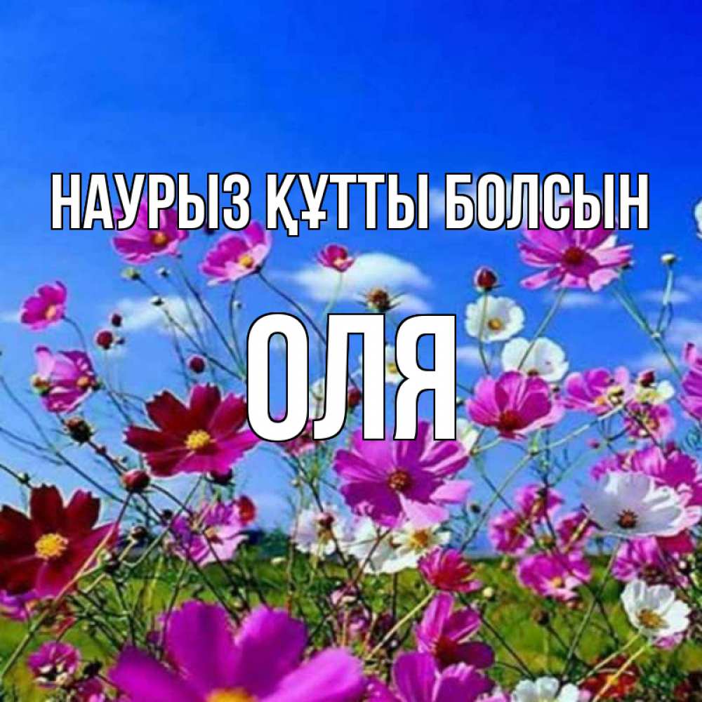 Күн сайын ашық хат с именем, Оля Наурыз құтты болсын цветы Онлайн тегін жүктеп алу тілектері бар керемет карта 