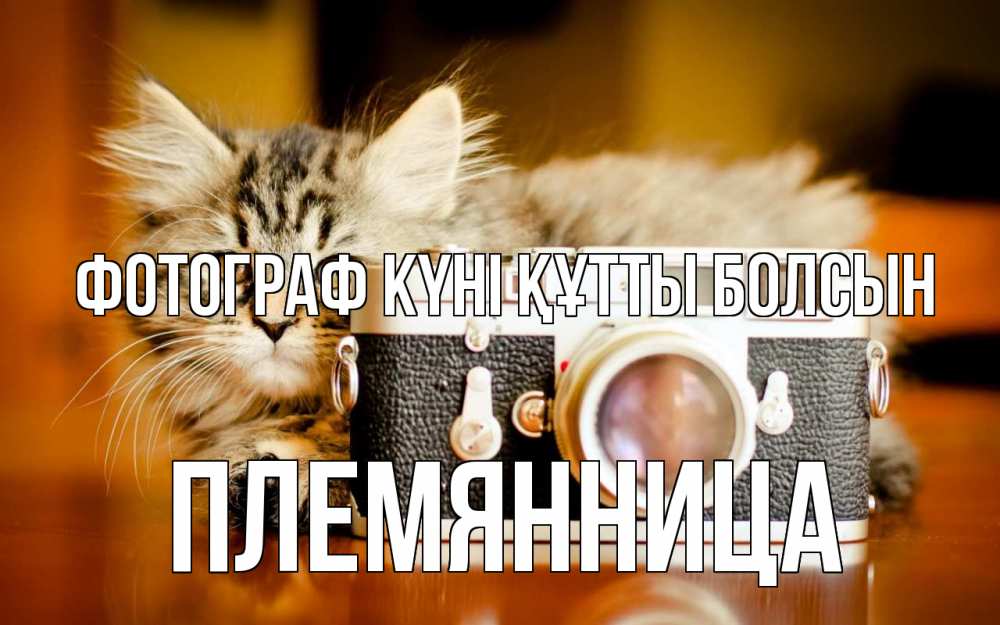 Күн сайын ашық хат с именем, Племянница Фотограф күні құтты болсын с днем фотографа Онлайн тегін жүктеп алу тілектері бар керемет карта 
