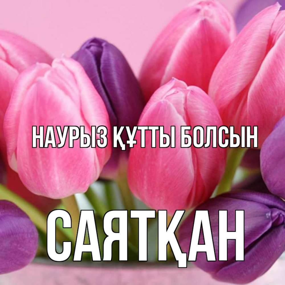 Күн сайын ашық хат с именем, САЯТҚАН Наурыз құтты болсын маме 1 Онлайн тегін жүктеп алу тілектері бар керемет карта 
