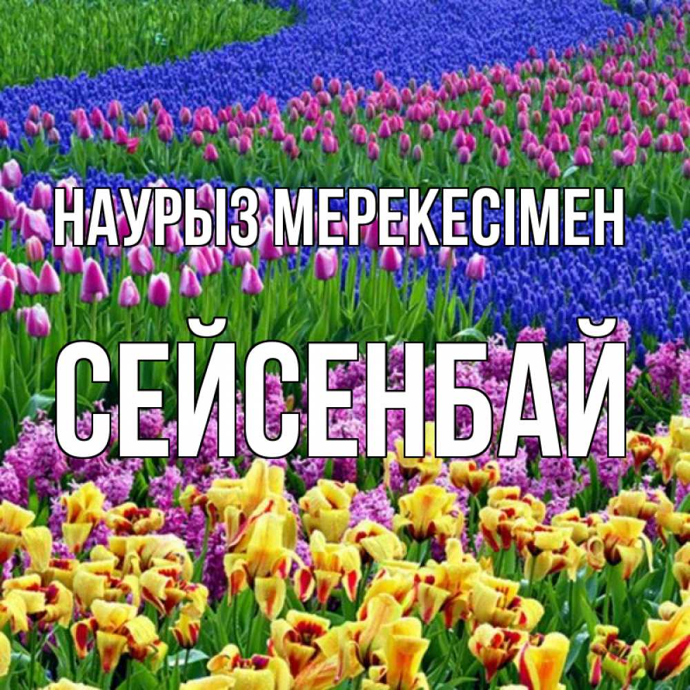 Күн сайын ашық хат с именем, СЕЙСЕНБАЙ Наурыз мерекесімен цветы Онлайн тегін жүктеп алу тілектері бар керемет карта 
