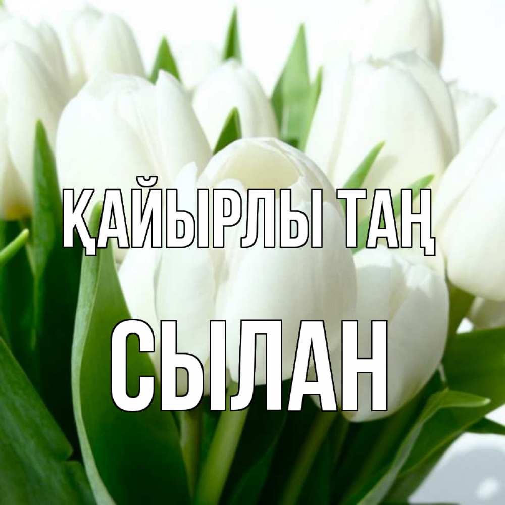 Күн сайын ашық хат с именем, СЫЛАН Қайырлы таң открытки на каждый день по именам Онлайн тегін жүктеп алу тілектері бар керемет карта 