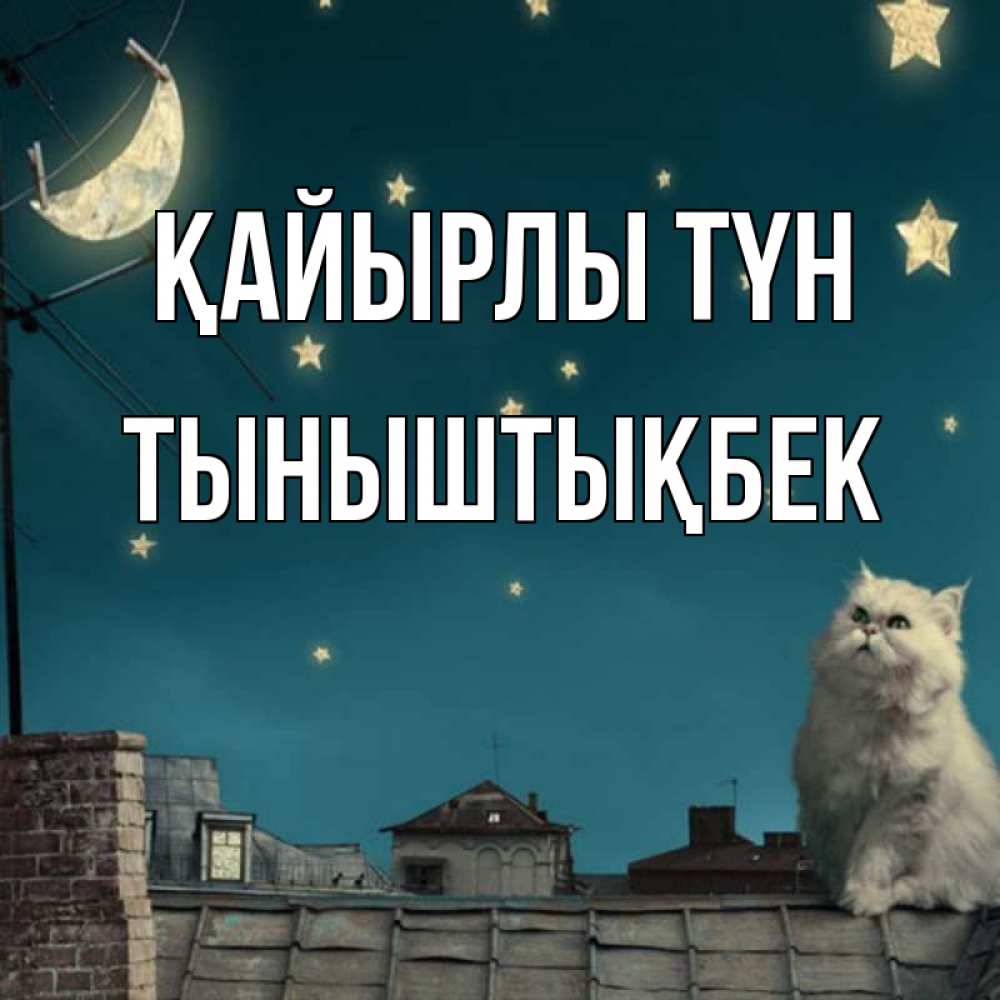 Күн сайын ашық хат с именем, ТЫНЫШТЫҚБЕК Қайырлы түн белый кот сидит на крыше Онлайн тегін жүктеп алу тілектері бар керемет карта 