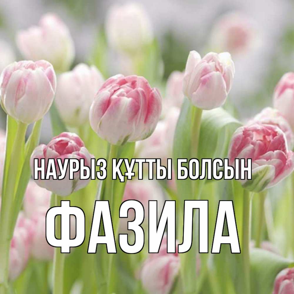 Күн сайын ашық хат с именем, ФАЗИЛА Наурыз құтты болсын цветы Онлайн тегін жүктеп алу тілектері бар керемет карта 