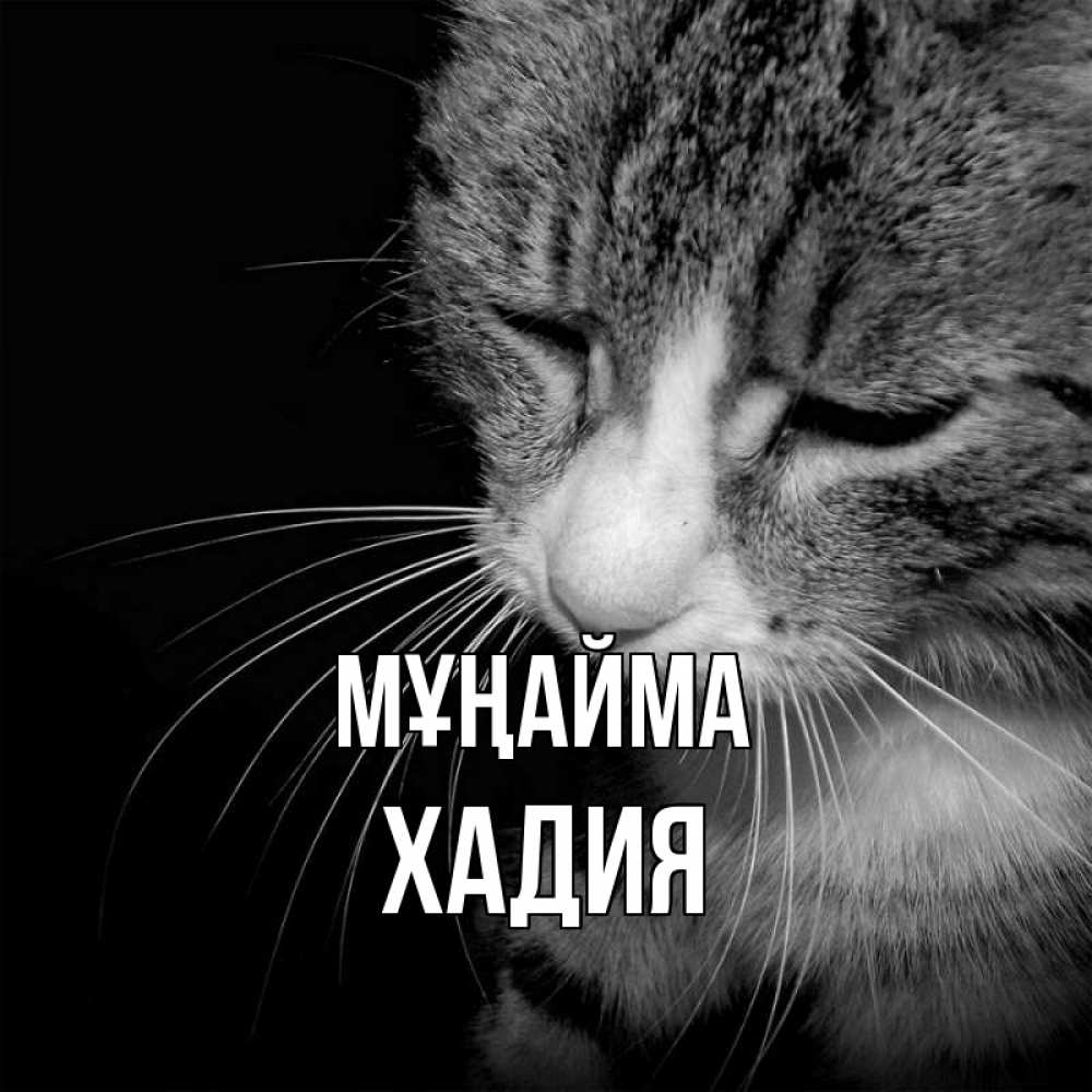 Күн сайын ашық хат с именем, ХАДИЯ Мұңайма грустный котик Онлайн тегін жүктеп алу тілектері бар керемет карта 