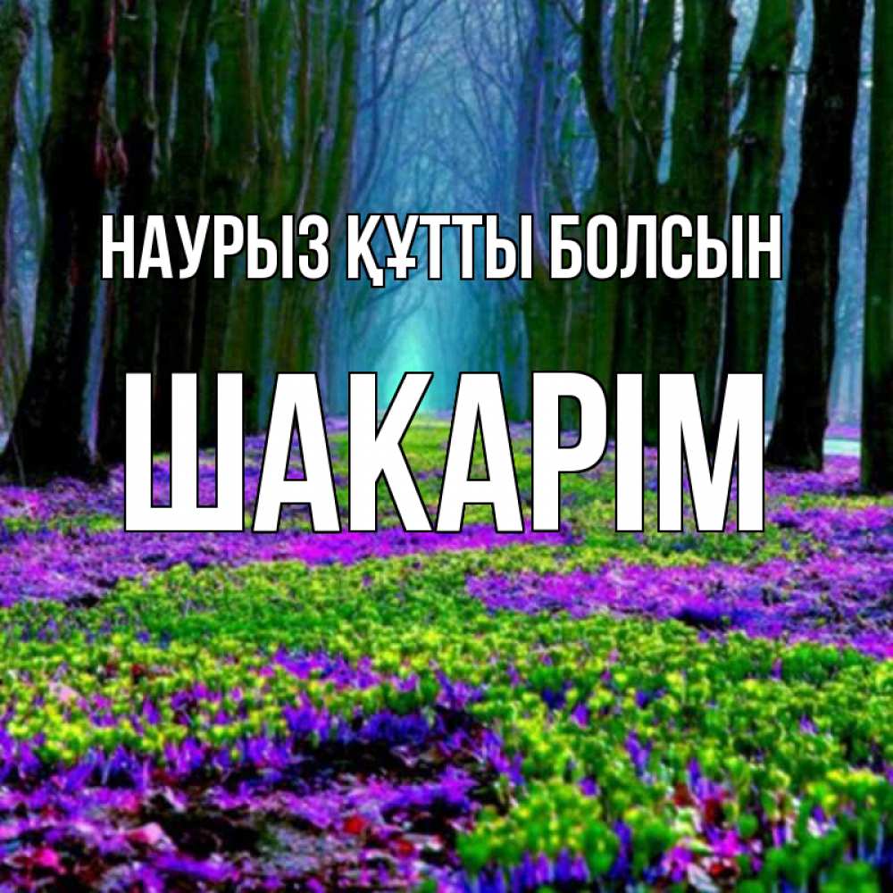 Күн сайын ашық хат с именем, ШАКАРІМ Наурыз құтты болсын фиолетовые цветы в лесу 1 Онлайн тегін жүктеп алу тілектері бар керемет карта 