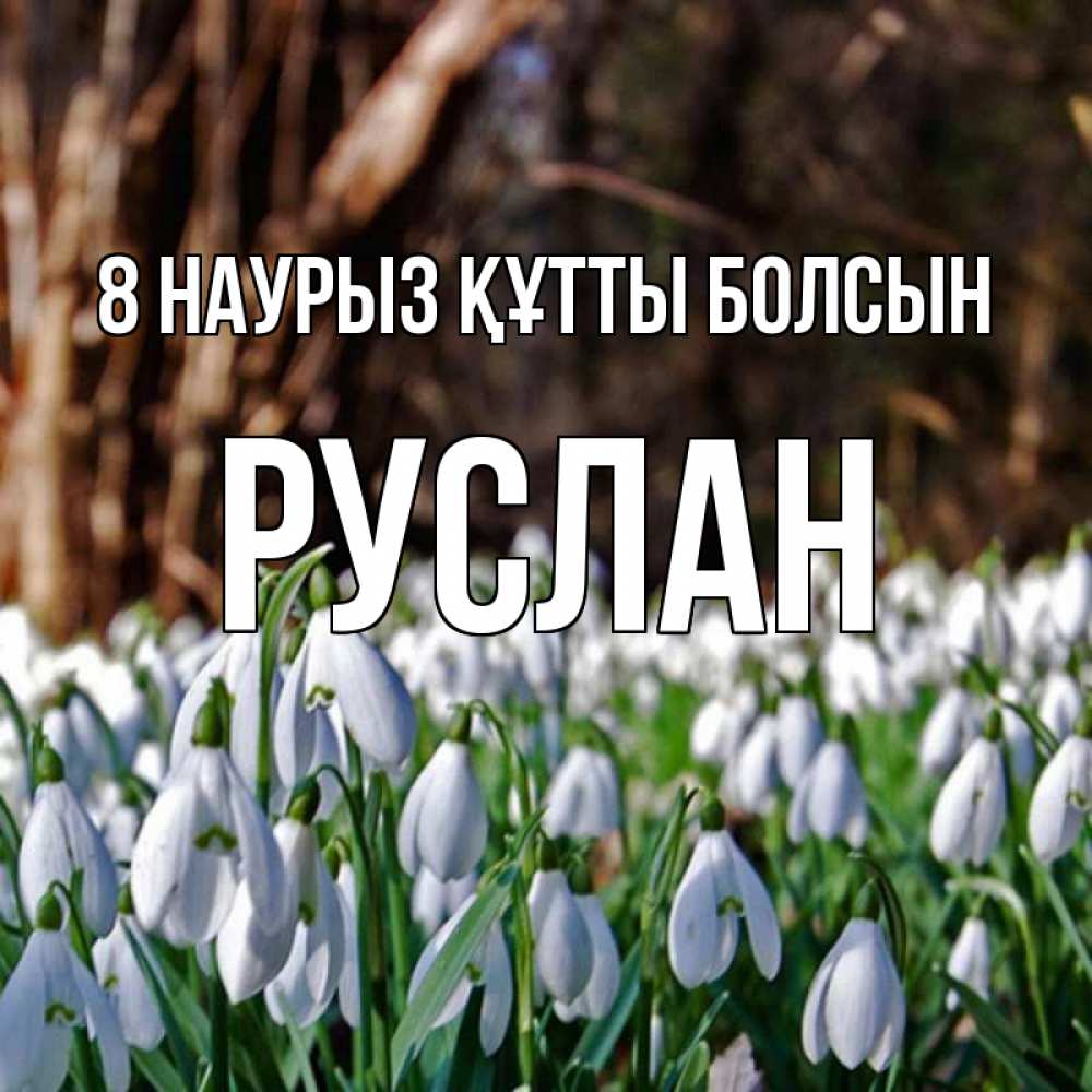 Күн сайын ашық хат с именем, РУСЛАН 8 наурыз құтты болсын с подснежниками 1 Онлайн тегін жүктеп алу тілектері бар керемет карта 