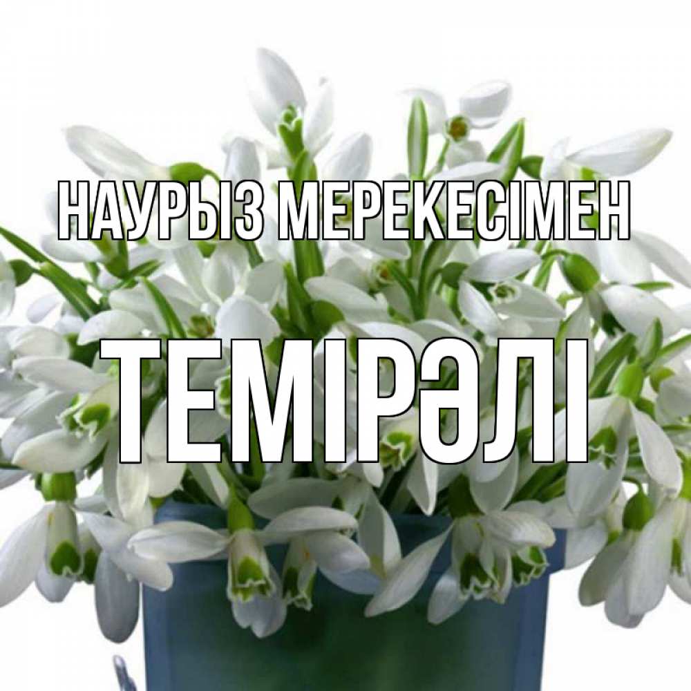 Күн сайын ашық хат с именем, ТЕМІРӘЛІ Наурыз мерекесімен цветы к наурызу новый год в Казахстане Онлайн тегін жүктеп алу тілектері бар керемет карта 