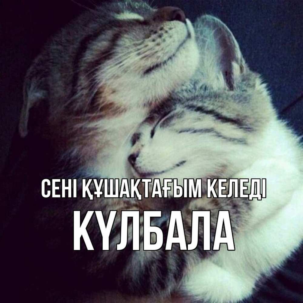 Күн сайын ашық хат с именем, Күлбала сені құшақтағым келеді полосатики Онлайн тегін жүктеп алу тілектері бар керемет карта 