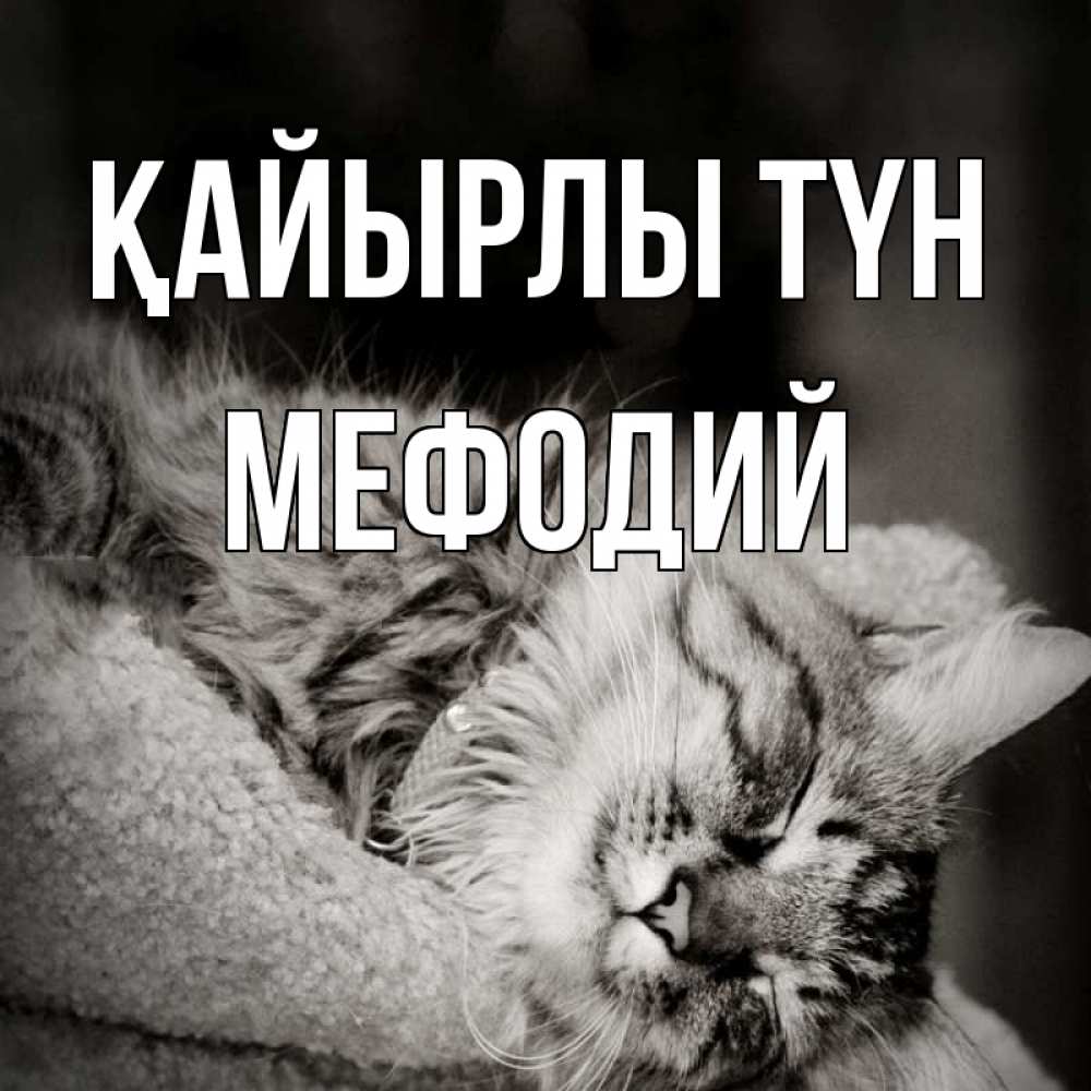 Күн сайын ашық хат с именем, Мефодий Қайырлы түн котярик пушистый Онлайн тегін жүктеп алу тілектері бар керемет карта 