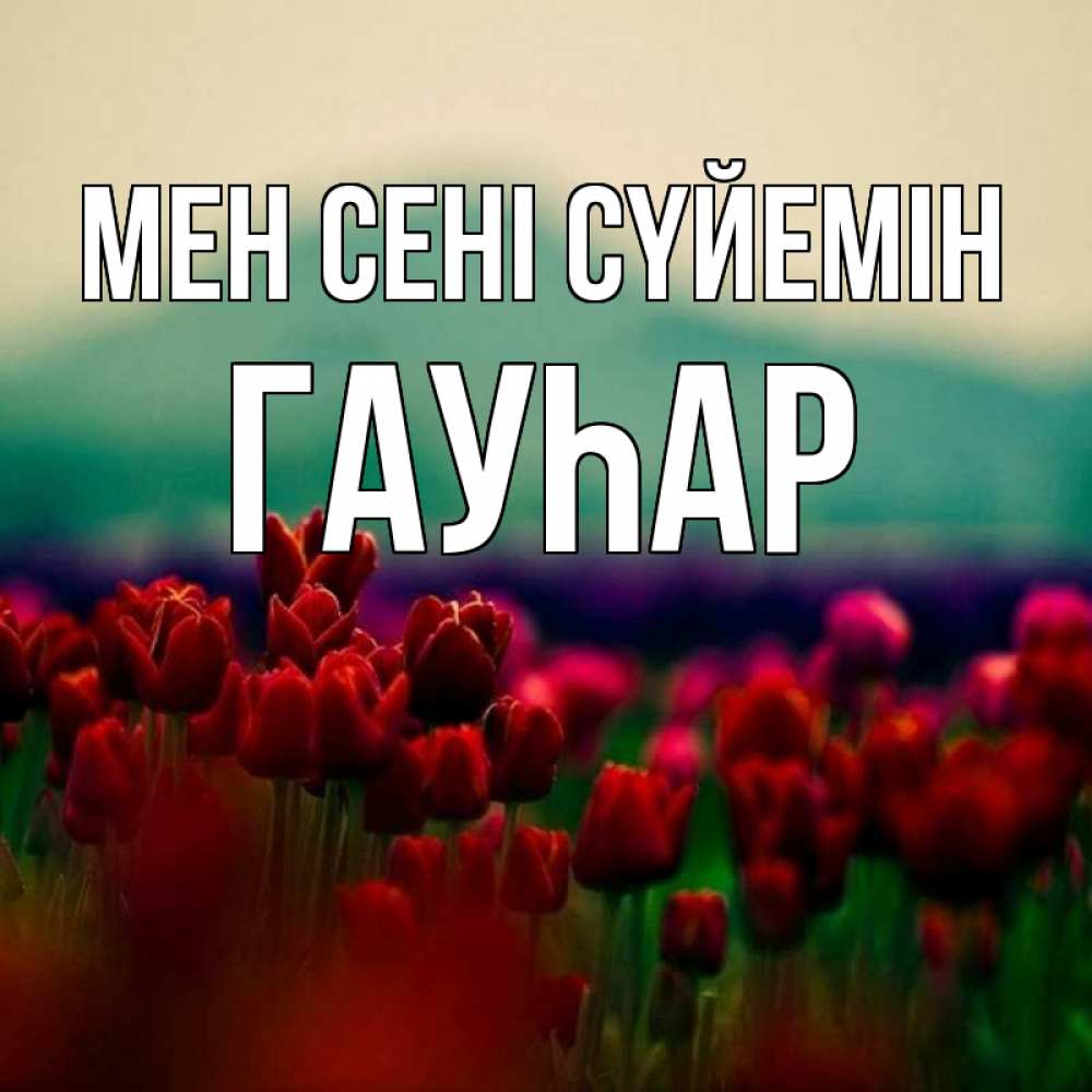 Күн сайын ашық хат с именем, Гауһар Мен сені сүйемін тюльпаны 4 Онлайн тегін жүктеп алу тілектері бар керемет карта 