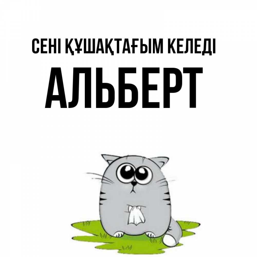 Күн сайын ашық хат с именем, Альберт сені құшақтағым келеді котик теребит платочек сидя на травке Онлайн тегін жүктеп алу тілектері бар керемет карта 