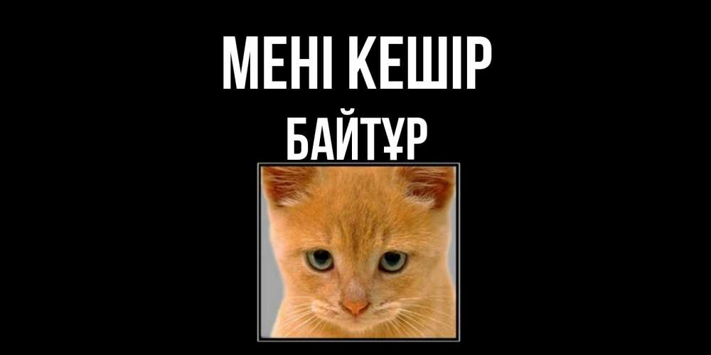 Күн сайын ашық хат с именем, Байтұр Мені кешір рыжий грустный кот просит прощения Онлайн тегін жүктеп алу тілектері бар керемет карта 