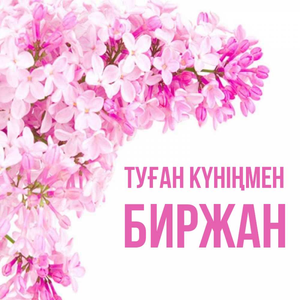 Күн сайын ашық хат с именем, Биржан Туған күніңмен Сирень на белом фоне Онлайн тегін жүктеп алу тілектері бар керемет карта 