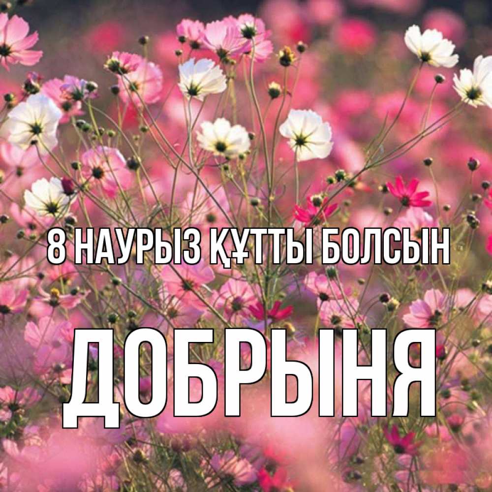 Күн сайын ашық хат с именем, Добрыня 8 наурыз құтты болсын красиво 1 Онлайн тегін жүктеп алу тілектері бар керемет карта 