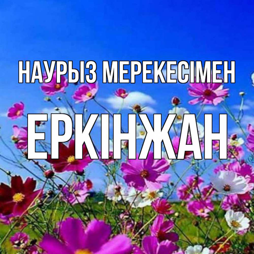 Күн сайын ашық хат с именем, Еркінжан Наурыз мерекесімен цветы Онлайн тегін жүктеп алу тілектері бар керемет карта 