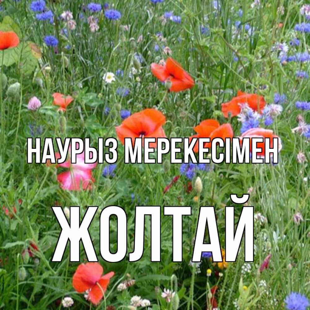 Күн сайын ашық хат с именем, Жолтай Наурыз мерекесімен праздник весны наурыз супер открытка Онлайн тегін жүктеп алу тілектері бар керемет карта 
