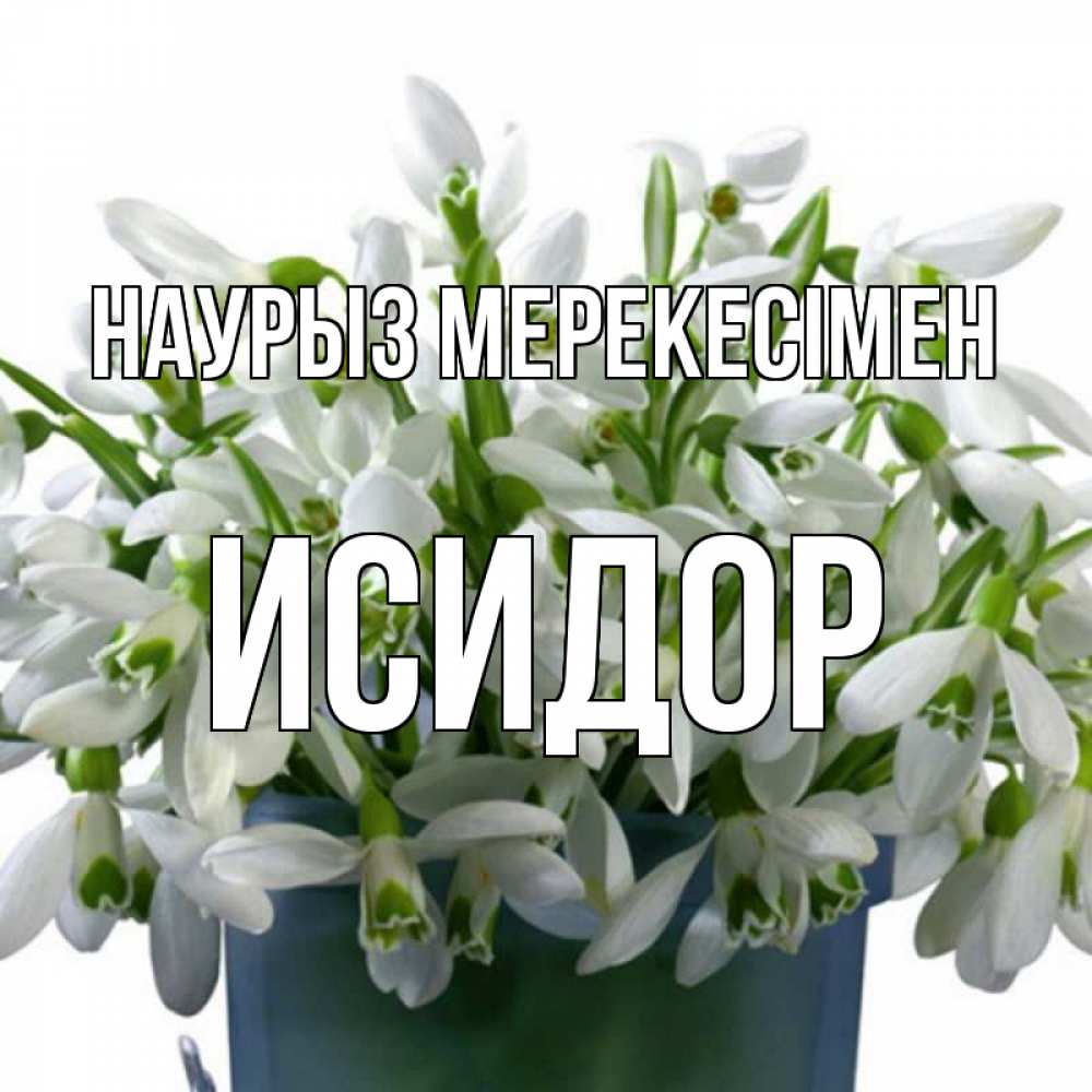 Күн сайын ашық хат с именем, Исидор Наурыз мерекесімен цветы к наурызу новый год в Казахстане Онлайн тегін жүктеп алу тілектері бар керемет карта 