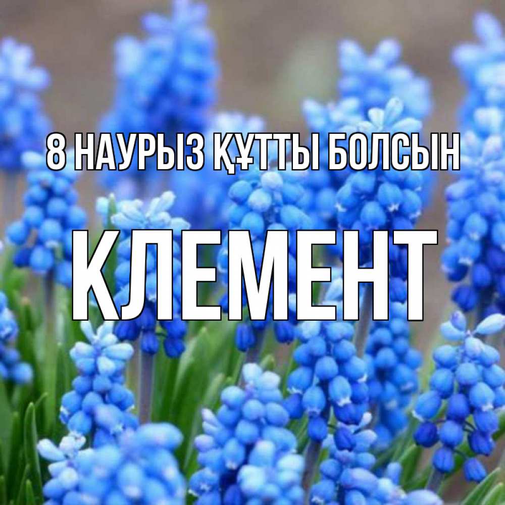 Күн сайын ашық хат с именем, Клемент 8 наурыз құтты болсын Поздравительная открытка для женщин с цветами на праздничную дату Онлайн тегін жүктеп алу тілектері бар керемет карта 