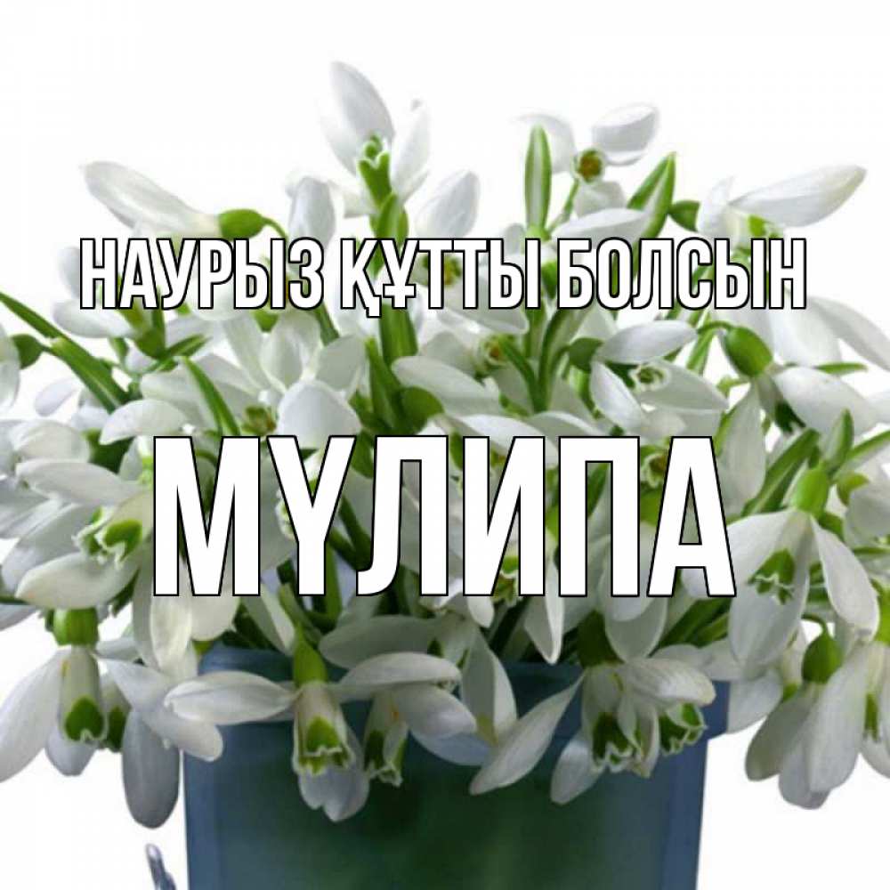 Күн сайын ашық хат с именем, МҮЛИПА Наурыз құтты болсын цветы к наурызу Онлайн тегін жүктеп алу тілектері бар керемет карта 